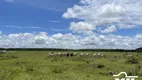 Foto 20 de Fazenda/Sítio à venda em Zona Rural, São Francisco de Goiás