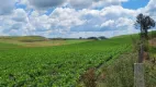 Foto 9 de Fazenda/Sítio à venda, 45000m² em Centro, São Francisco de Paula