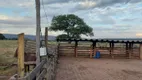 Foto 11 de Fazenda/Sítio à venda em Zona Rural, Itarumã