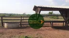 Foto 8 de Fazenda/Sítio à venda, 10599600m² em , Paraíso do Tocantins