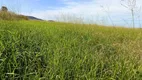 Foto 7 de Fazenda/Sítio com 5 Quartos à venda, 100m² em , Itapirapuã