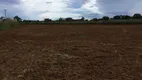 Foto 13 de Fazenda/Sítio com 3 Quartos à venda, 9500m² em Area Rural de Ceilandia, Brasília