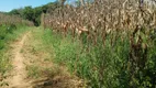 Foto 59 de Fazenda/Sítio à venda, 50000m² em Ponte Alta Norte, Brasília