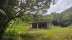 Foto 39 de Fazenda/Sítio com 2 Quartos à venda, 60m² em Zona Rural, Campo Magro