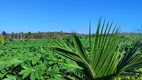 Foto 11 de Fazenda/Sítio com 2 Quartos à venda, 50m² em Zona Rural, Touros