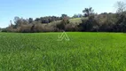 Foto 2 de Fazenda/Sítio à venda, 40000m² em Boqueirao, Passo Fundo