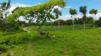 Foto 7 de Fazenda/Sítio com 7 Quartos à venda, 31000m² em , Puxinanã