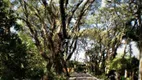 Foto 4 de Lote/Terreno à venda, 520m² em Bosque do Vianna, Cotia