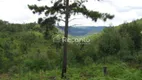 Foto 4 de Fazenda/Sítio à venda, 60380m² em , Canela