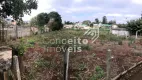 Foto 34 de Lote/Terreno para alugar, 9240m² em Uvaranas, Ponta Grossa