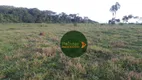 Foto 3 de Fazenda/Sítio à venda, 484000m² em Zona Rural, Caldazinha