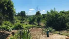 Foto 11 de Fazenda/Sítio com 3 Quartos à venda, 120m² em Vera Cruz, Sarandi