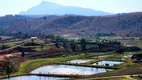 Foto 16 de Fazenda/Sítio à venda, 1000m² em Centro, Alpercata