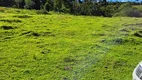 Foto 17 de Fazenda/Sítio com 1 Quarto à venda, 40000m² em , Rio Rufino