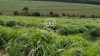 Foto 4 de Fazenda/Sítio com 1 Quarto à venda, 10m² em Zona Rural, Torrinha