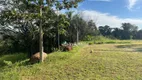 Foto 22 de Fazenda/Sítio com 2 Quartos à venda, 380m² em Zona Rural, Londrina