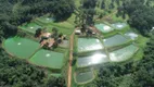 Foto 4 de Fazenda/Sítio à venda, 245000m² em Setor Central, Orizona