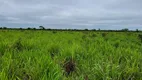 Foto 16 de Fazenda/Sítio à venda, 6135000m² em Zona Rural, Santo Antônio do Leverger