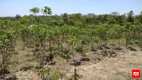 Foto 6 de Fazenda/Sítio à venda, 1000m² em Chacaras de Recreio Represa, Nova Odessa