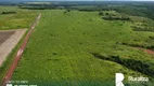 Foto 10 de Fazenda/Sítio à venda, 2521m² em Zona Rural, Lagoa do Tocantins