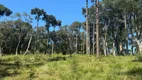 Foto 9 de Fazenda/Sítio à venda, 56m² em Estrada do Invernador, Urubici