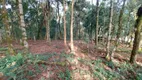 Foto 16 de Fazenda/Sítio à venda, 10680m² em Campestre da Faxina, São José dos Pinhais