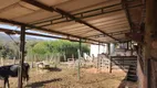 Foto 10 de Fazenda/Sítio com 2 Quartos à venda, 54450m² em Zona Rural, Monte Santo de Minas