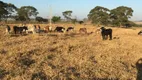 Foto 3 de Fazenda/Sítio com 4 Quartos à venda, 156000m² em Zona Rural, Mococa