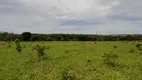 Foto 2 de Fazenda/Sítio à venda, 20000m² em Zona Rural, Aragoiânia