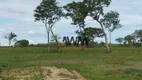 Foto 11 de Fazenda/Sítio à venda, 25180584m² em Zona Rural, Conceição do Tocantins