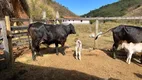 Foto 2 de Fazenda/Sítio à venda, 552000m² em Centro, Paraíba do Sul