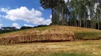 Foto 16 de Fazenda/Sítio com 2 Quartos à venda, 48400m² em Centro, Campo Alegre