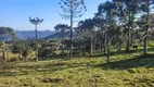 Foto 5 de Fazenda/Sítio à venda, 190000m² em Centro, Rio Rufino