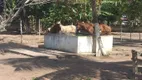 Foto 15 de Fazenda/Sítio com 2 Quartos à venda, 270000m² em Cana Brava, Macaíba