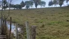 Foto 8 de Fazenda/Sítio com 10 Quartos à venda, 900m² em , Piracaia