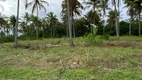 Foto 10 de Lote/Terreno à venda, 791m² em Peroba, Maragogi