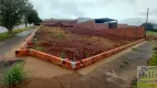 Foto 6 de Lote/Terreno à venda, 515m² em Jardim Espanha, Maringá