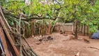 Foto 7 de Fazenda/Sítio com 3 Quartos à venda, 323m² em Tanque, Atibaia