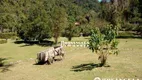 Foto 18 de Fazenda/Sítio com 3 Quartos à venda, 167859m² em Albuquerque, Teresópolis