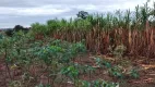 Foto 3 de Lote/Terreno à venda, 5000m² em Vila Maria Eugênia, Campinas