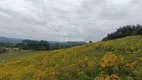 Foto 3 de Fazenda/Sítio à venda, 4479m² em , Gramado