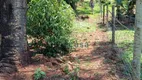 Foto 4 de Fazenda/Sítio com 3 Quartos à venda, 3000m² em Rio do Salto, Cascavel