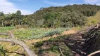 Foto 5 de Fazenda/Sítio à venda, 80000m² em , São Pedro de Alcântara