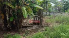 Foto 15 de Fazenda/Sítio com 3 Quartos à venda, 160m² em Centro, Aragoiânia