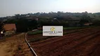 Foto 6 de Fazenda/Sítio com 5 Quartos à venda, 600m² em Barreiro Rural, Taubaté