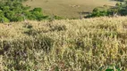 Foto 13 de Fazenda/Sítio com 3 Quartos à venda, 22m² em Zona Rural, Perdizes