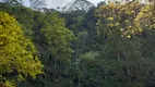 Foto 60 de Fazenda/Sítio com 4 Quartos à venda, 30200m² em Pouso Alegre, Santa Isabel