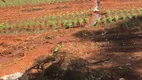 Foto 8 de Fazenda/Sítio com 3 Quartos à venda, 20000m² em Planaltina, Brasília