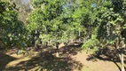 Foto 52 de Fazenda/Sítio com 3 Quartos à venda, 3375m² em Guaíba Country Club, Eldorado do Sul