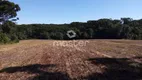 Foto 5 de Fazenda/Sítio à venda, 240000m² em , Mato Castelhano